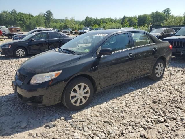 2009 Toyota Corolla Base