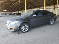 2010 Toyota Camry Base for sale in Phoenix, AZ