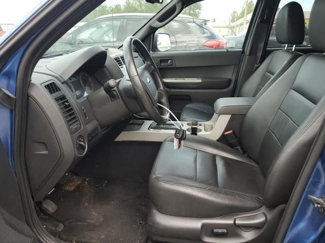 2009 Ford Escape XLT