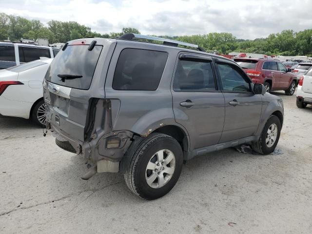 2010 Ford Escape Limited