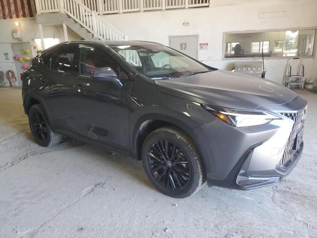 2023 Lexus NX 350H