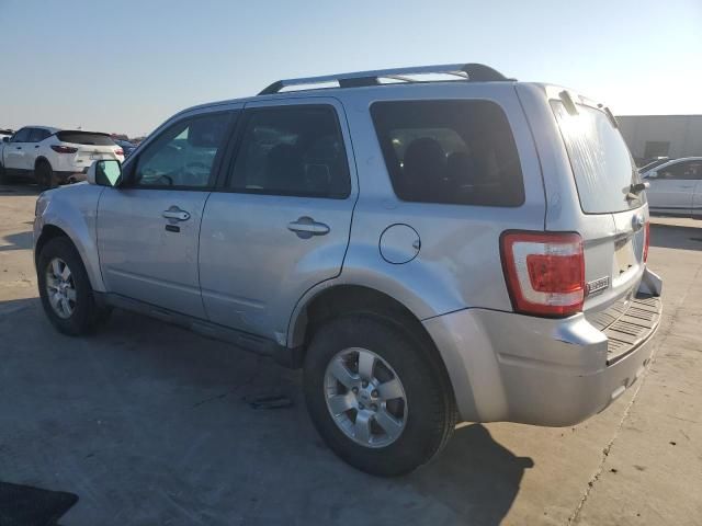 2011 Ford Escape Limited