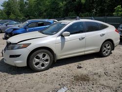 Honda Crosstour salvage cars for sale: 2012 Honda Crosstour EXL