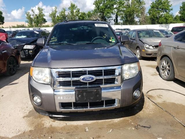 2010 Ford Escape Limited