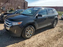 Ford salvage cars for sale: 2013 Ford Edge SEL