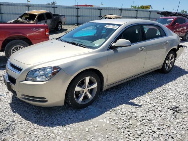 2011 Chevrolet Malibu 1LT