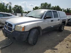 Dodge Dakota Quattro Vehiculos salvage en venta: 2005 Dodge Dakota Quattro