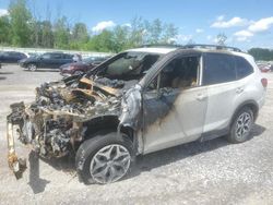 2023 Subaru Forester Premium en venta en Leroy, NY