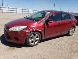 Ford salvage cars for sale: 2014 Ford Focus SE