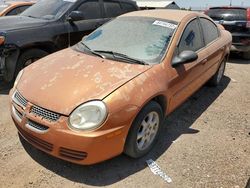 Dodge salvage cars for sale: 2005 Dodge Neon SXT