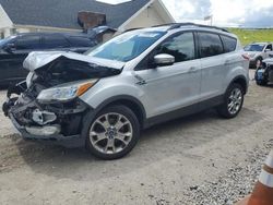 Salvage cars for sale from Copart Northfield, OH: 2013 Ford Escape SEL