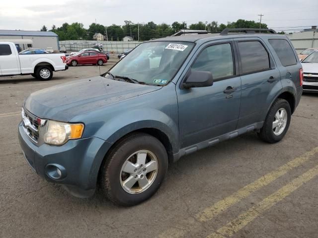 2011 Ford Escape XLT