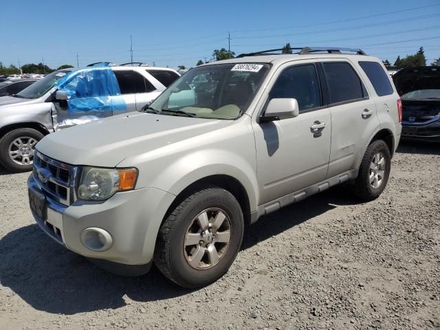 2009 Ford Escape Limited