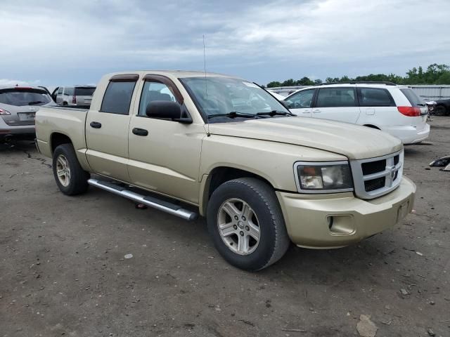 2011 Dodge Dakota SLT