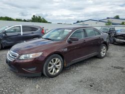 Ford salvage cars for sale: 2012 Ford Taurus SEL