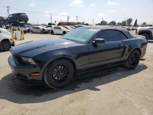 2013 Ford Mustang