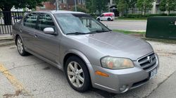 Nissan salvage cars for sale: 2003 Nissan Maxima GLE