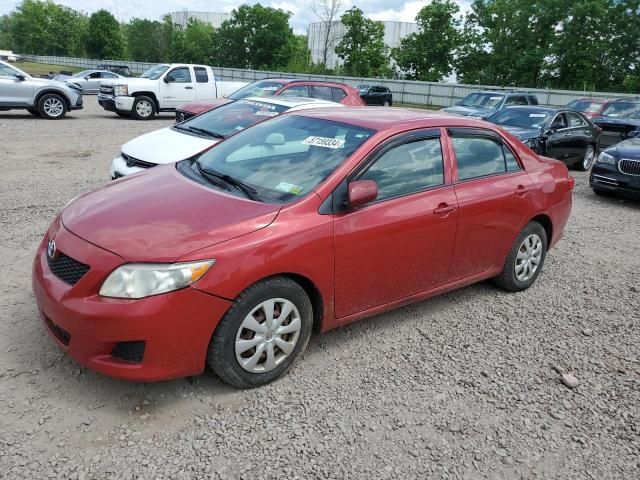 2009 Toyota Corolla Base