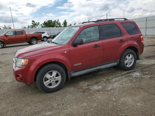 2008 Ford Escape XLT