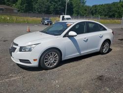 Chevrolet salvage cars for sale: 2012 Chevrolet Cruze ECO