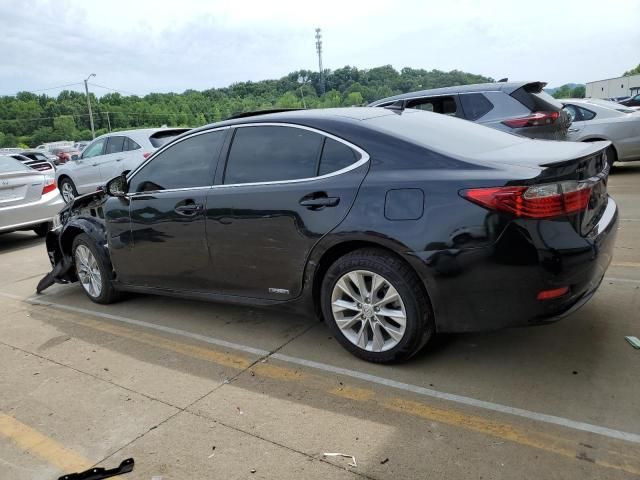 2014 Lexus ES 300H