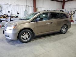 Honda Odyssey exl Vehiculos salvage en venta: 2011 Honda Odyssey EXL