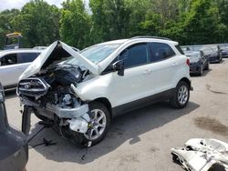 Ford Ecosport salvage cars for sale: 2019 Ford Ecosport SE