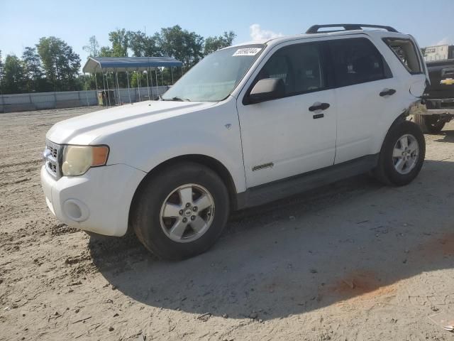 2008 Ford Escape XLT