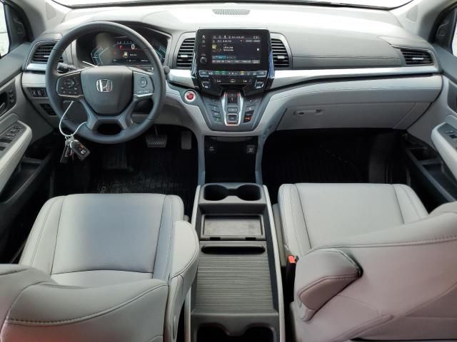 2024 Honda Odyssey EXL