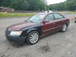 Salvage cars for sale from Copart Finksburg, MD: 2009 Hyundai Sonata SE