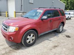 Ford Escape salvage cars for sale: 2009 Ford Escape XLT