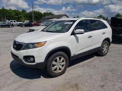 KIA salvage cars for sale: 2011 KIA Sorento Base