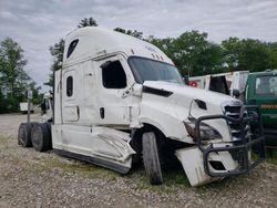 Freightliner Cascadia 126 salvage cars for sale: 2023 Freightliner Cascadia 126