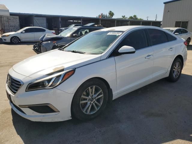 2016 Hyundai Sonata SE