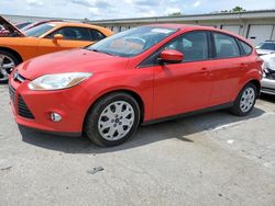 Ford Focus salvage cars for sale: 2012 Ford Focus SE