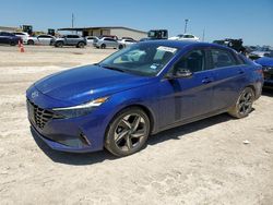 2023 Hyundai Elantra Limited en venta en Temple, TX