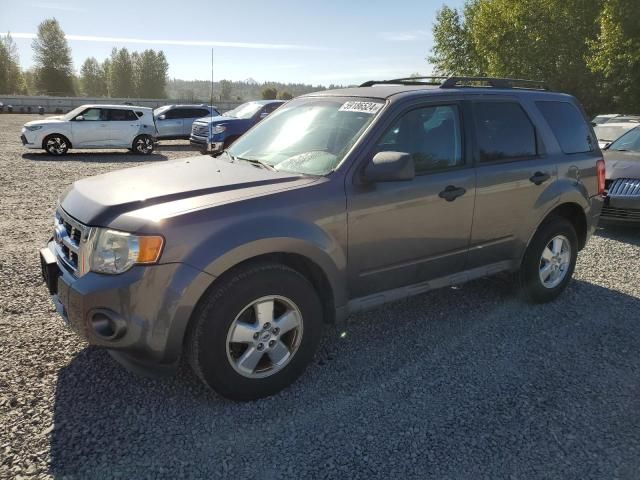 2009 Ford Escape XLS