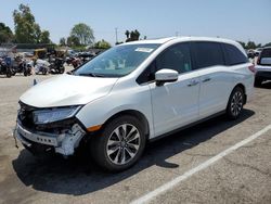 2022 Honda Odyssey EXL en venta en Van Nuys, CA