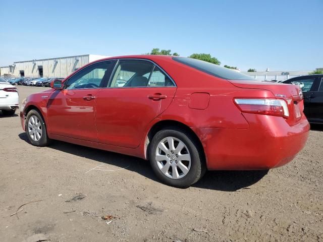 2009 Toyota Camry Hybrid