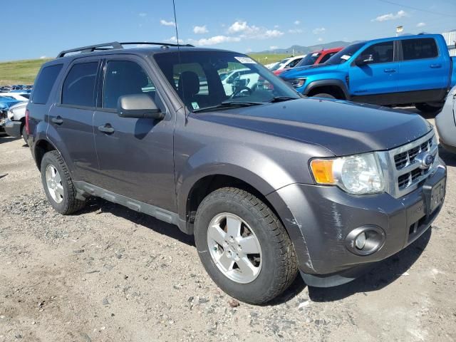 2011 Ford Escape XLT