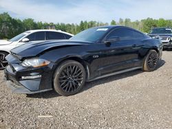 Ford Mustang GT salvage cars for sale: 2021 Ford Mustang GT