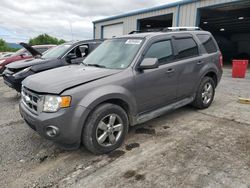 Ford Escape Vehiculos salvage en venta: 2009 Ford Escape Limited