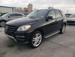 2014 Mercedes-Benz ML 350 for sale in New Orleans, LA