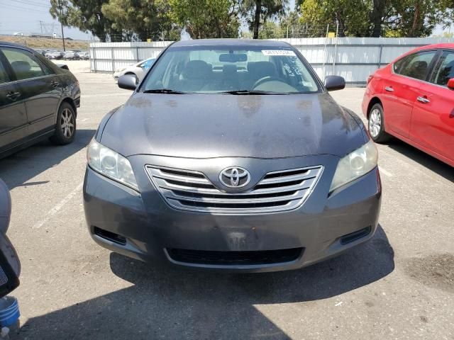 2009 Toyota Camry Hybrid