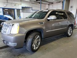 2012 Cadillac Escalade Platinum en venta en Pasco, WA