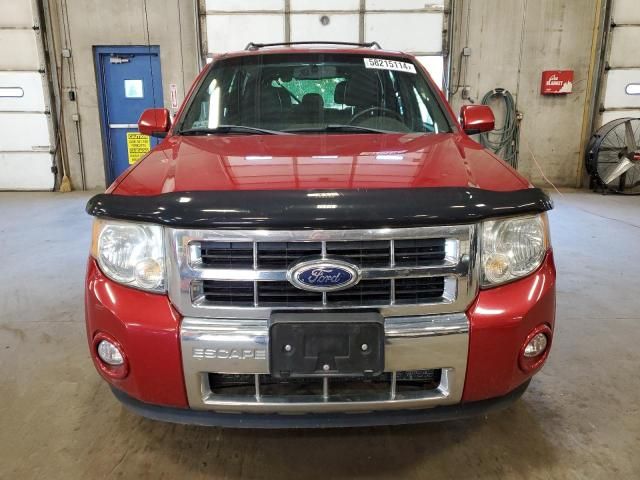 2010 Ford Escape Limited