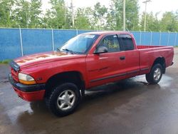 Salvage cars for sale from Copart Moncton, NB: 2000 Dodge Dakota