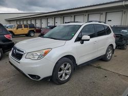 Subaru Vehiculos salvage en venta: 2014 Subaru Forester 2.5I Limited