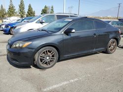 Scion tc salvage cars for sale: 2008 Scion TC