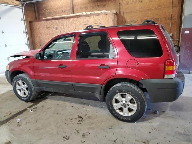 2007 Ford Escape XLT